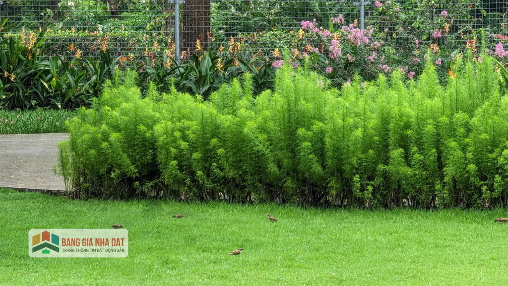 Setia Edenia by S P Setia 24