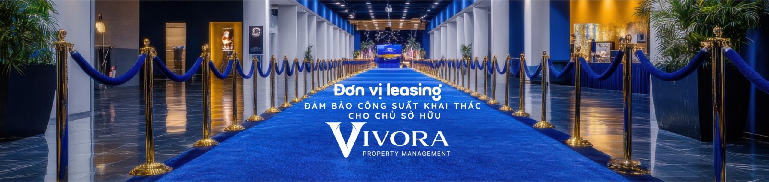 quaycomplexphuochai67